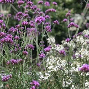 Meet your Posher, Nadia